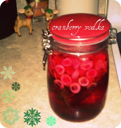 cranberry infused vodka