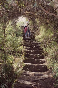 stairs up machu picchu mountain 