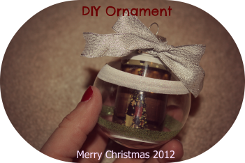 diy ornament 2012